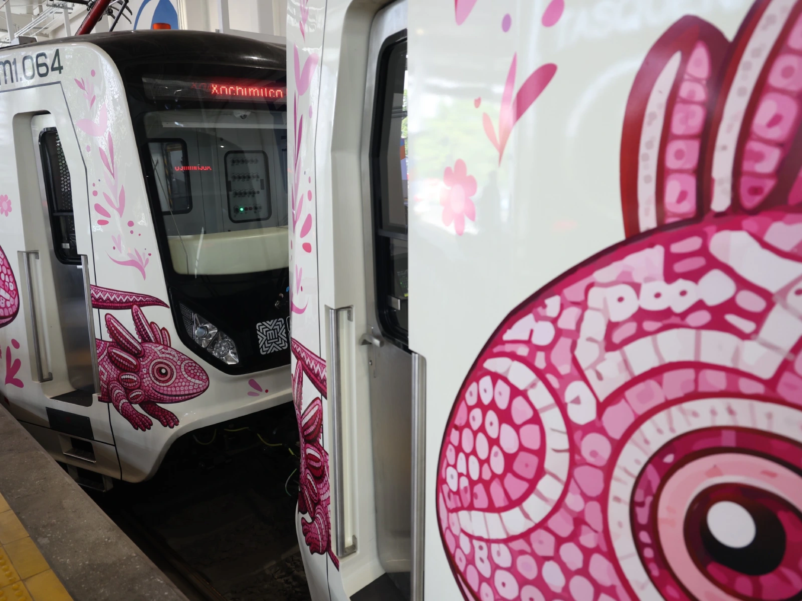 tren-ligero-ajolote-cdmx-taxqueña-xochimilco