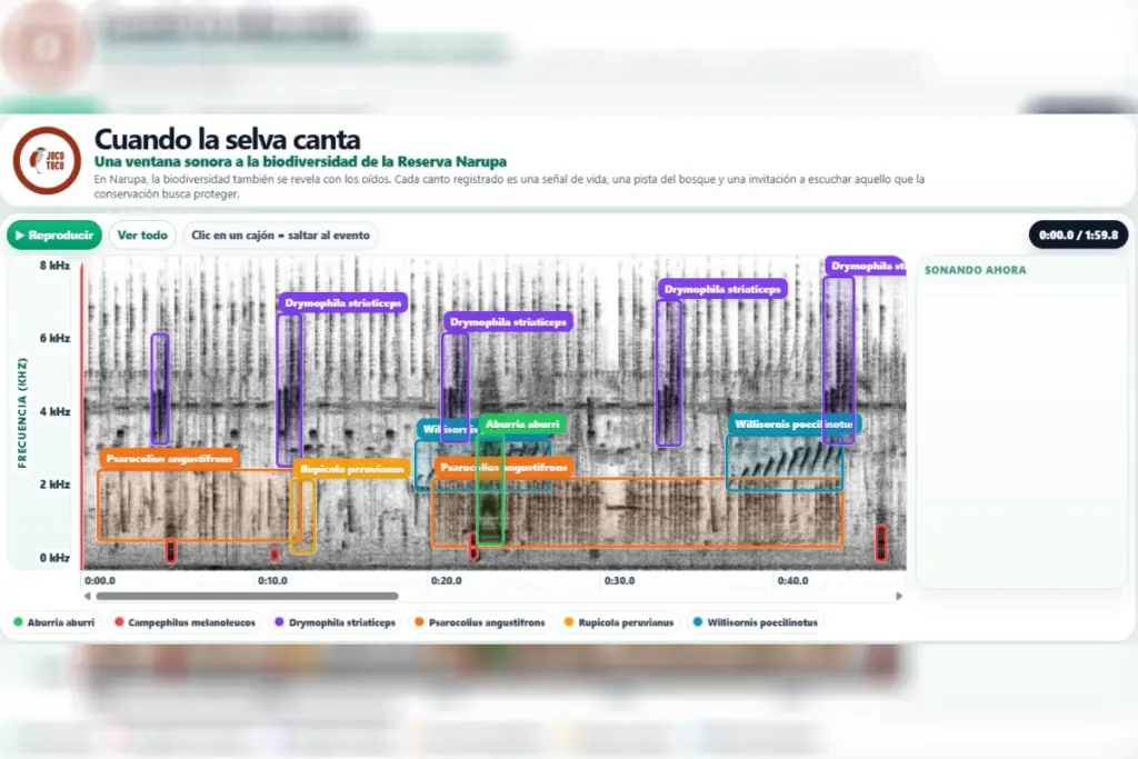 Procesamiento visual: Espectrograma interactivo generado a partir del audio y etiquetas acústicas por especie. Foto: Mongabay