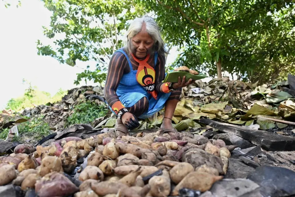 Yapi, la esposa del jefe Megaron, recolectando comida.