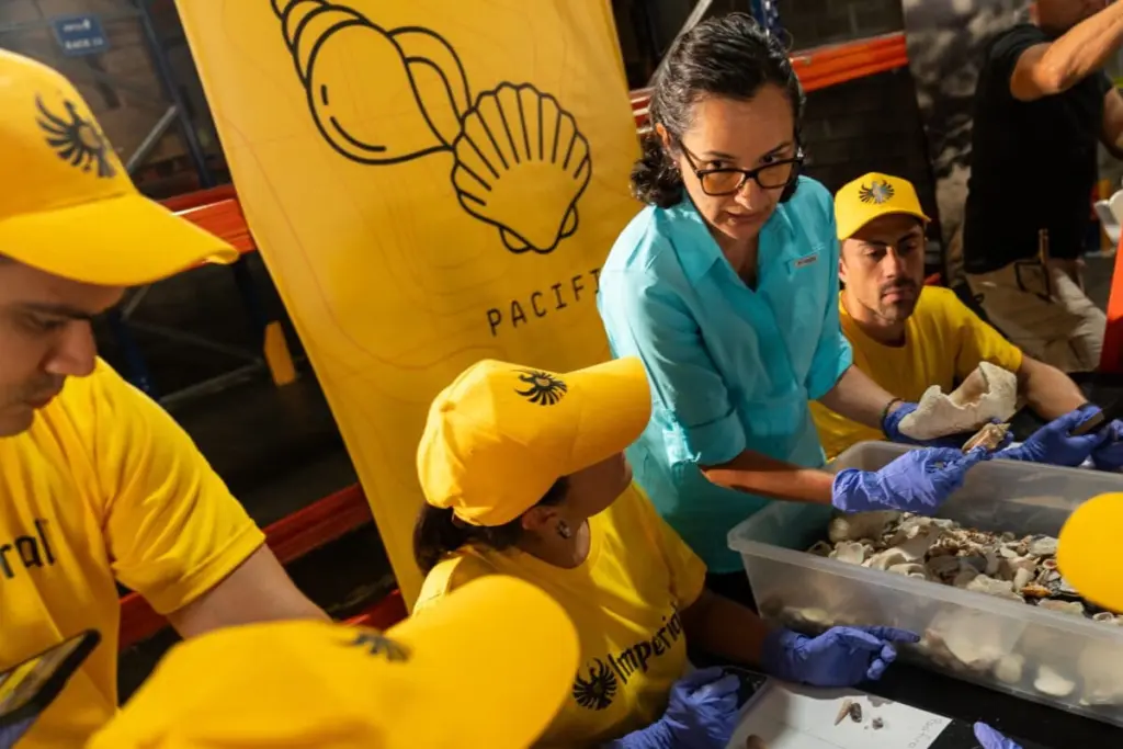 Yolanda Camacho es taxónoma y asesora científica del proyecto. Ella valida constantemente los resultados de la clasificación para asegurar que la reubicación de las conchas respete las dinámicas naturales de los ecosistemas. Foto: cortesía FIFCO/Heineken/Mongabay