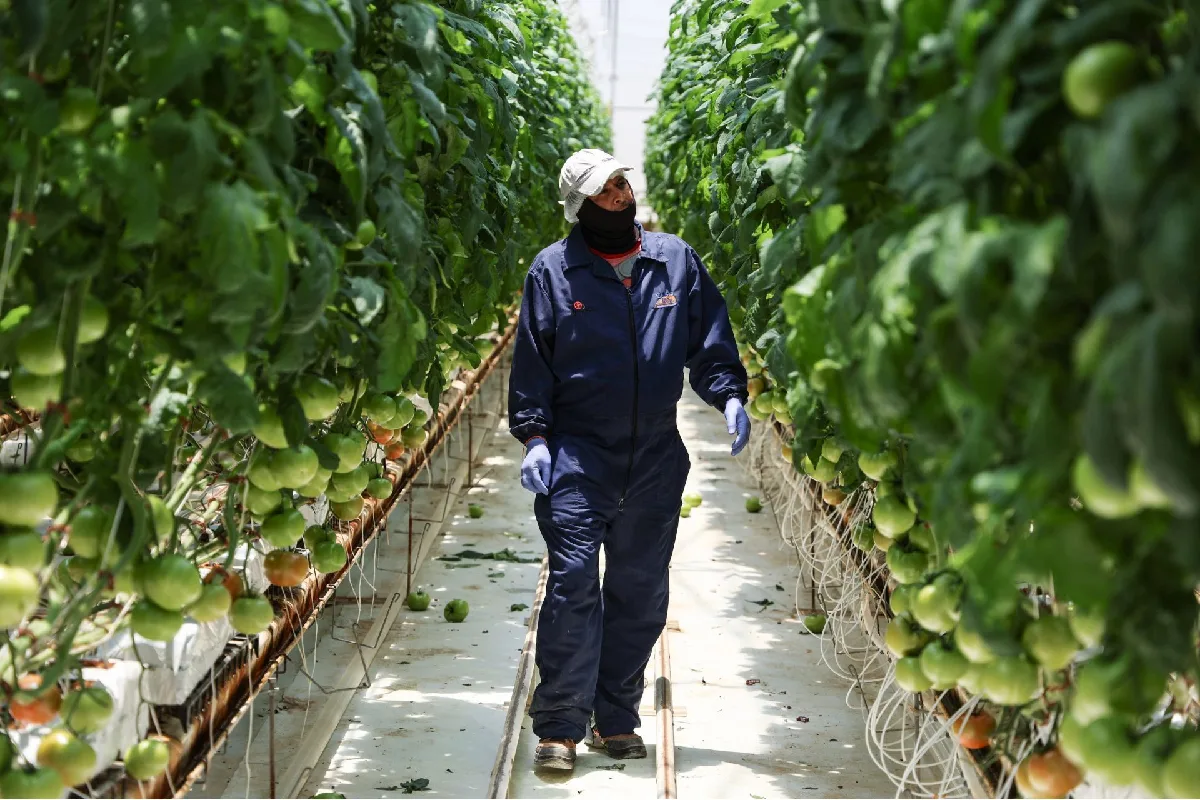Persona trabajando en el campo
