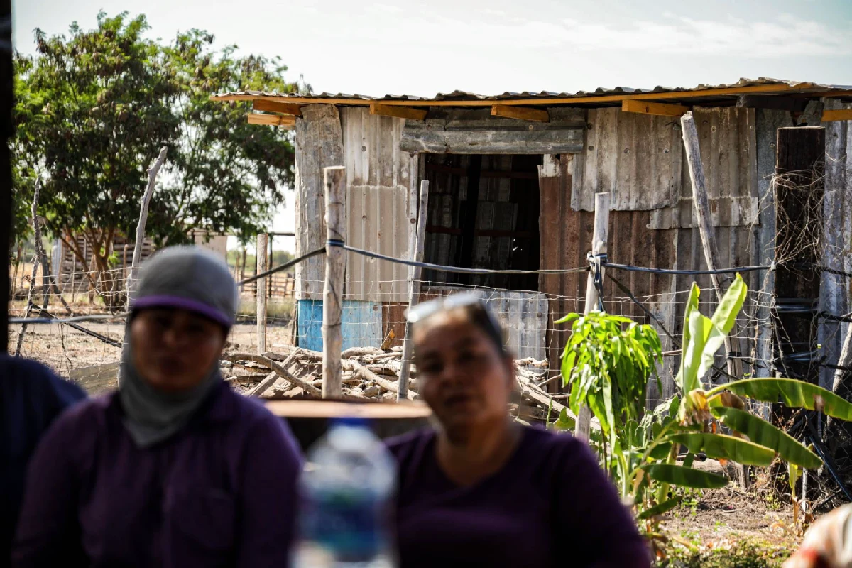 Desplazados por la violencia en Las Víboras, Culiacán, hallan refugio en otras comunidades; aseguran que ya no quieren volver