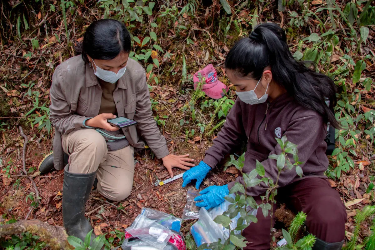 Día Mundial del Medioambiente: investigaciones que buscan generar acciones ante las consecuencias del cambio climático