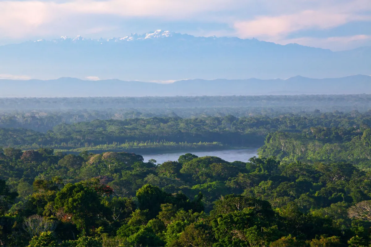 Día Mundial del Medioambiente: investigaciones que buscan generar acciones ante las consecuencias del cambio climático