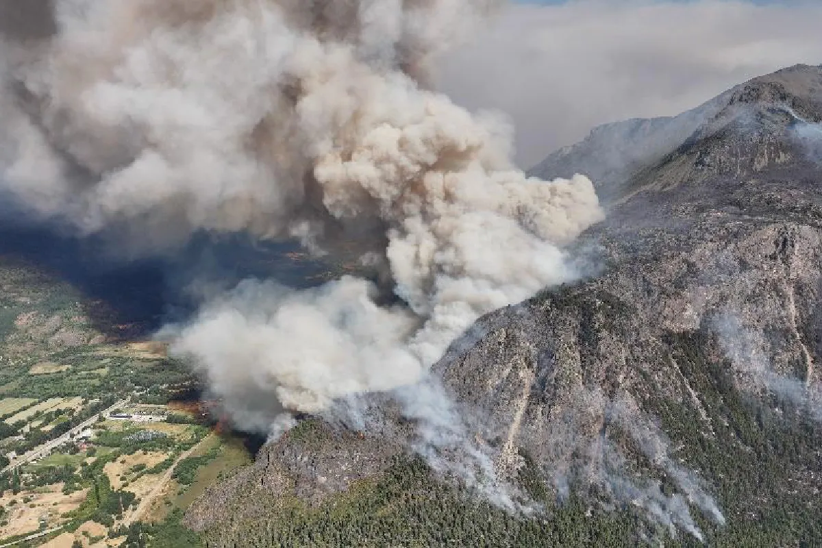 Día Mundial del Medioambiente: investigaciones que buscan generar acciones ante las consecuencias del cambio climático