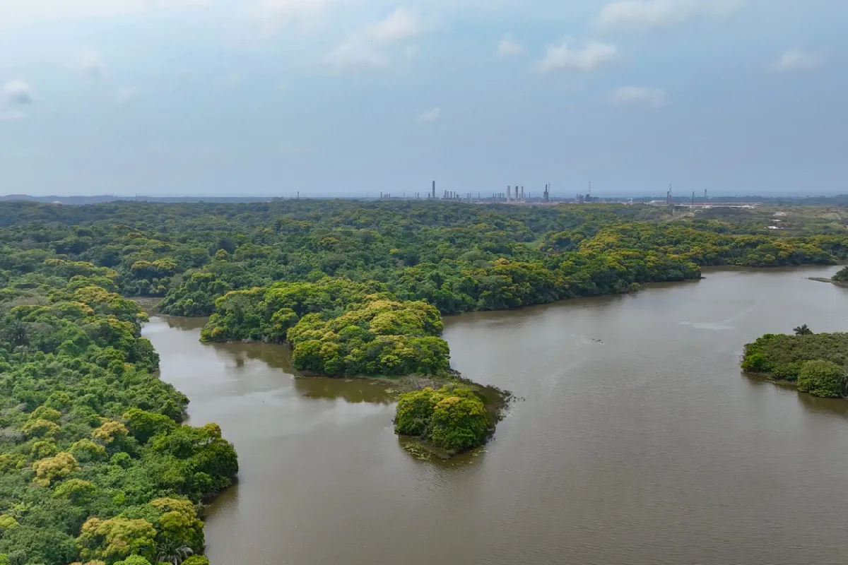 Día Mundial del Medioambiente: investigaciones que buscan generar acciones ante las consecuencias del cambio climático