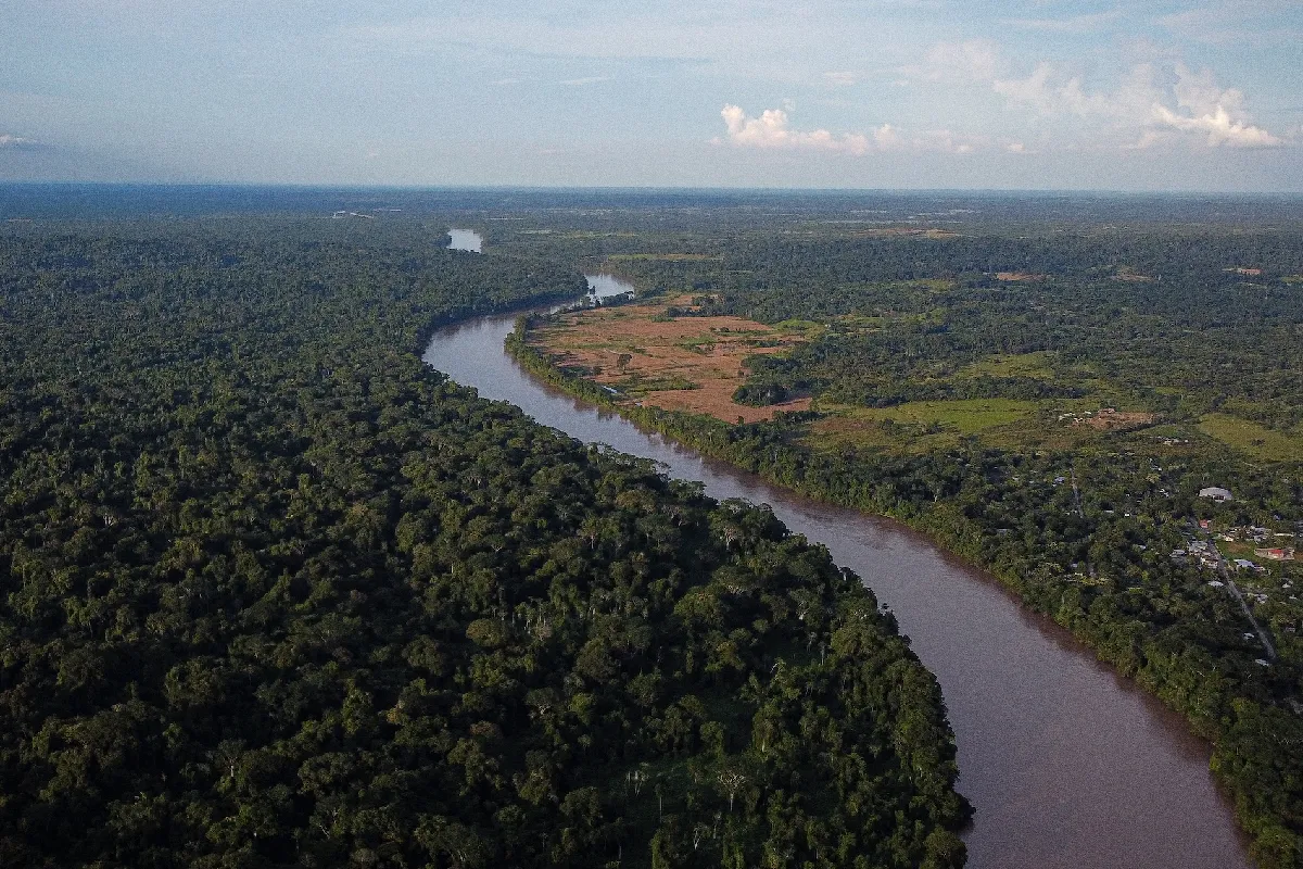 Día Mundial del Medioambiente: investigaciones que buscan generar acciones ante las consecuencias del cambio climático