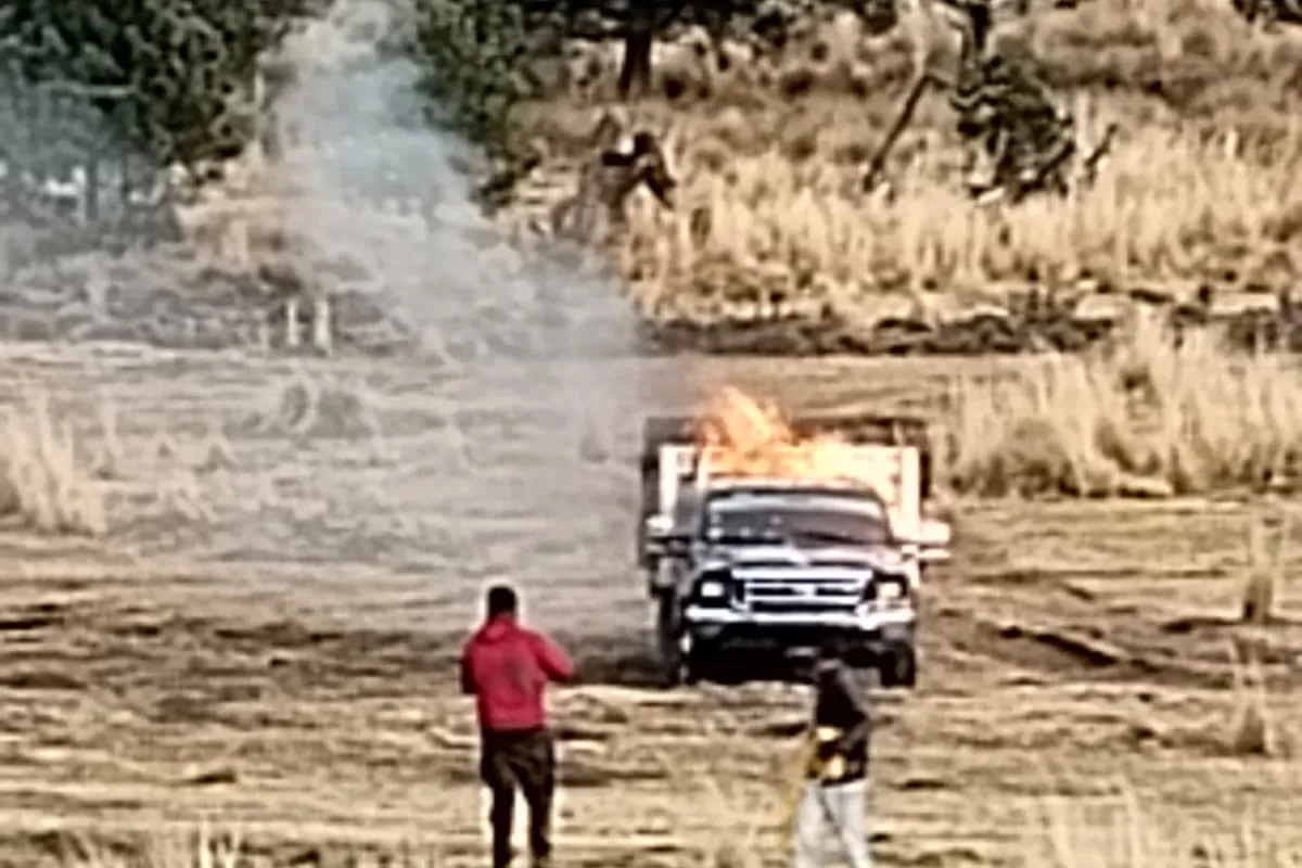 El bosque que da agua al Valle de México: Atlapulco entre balas, tala ilegal y una comunidad dividida