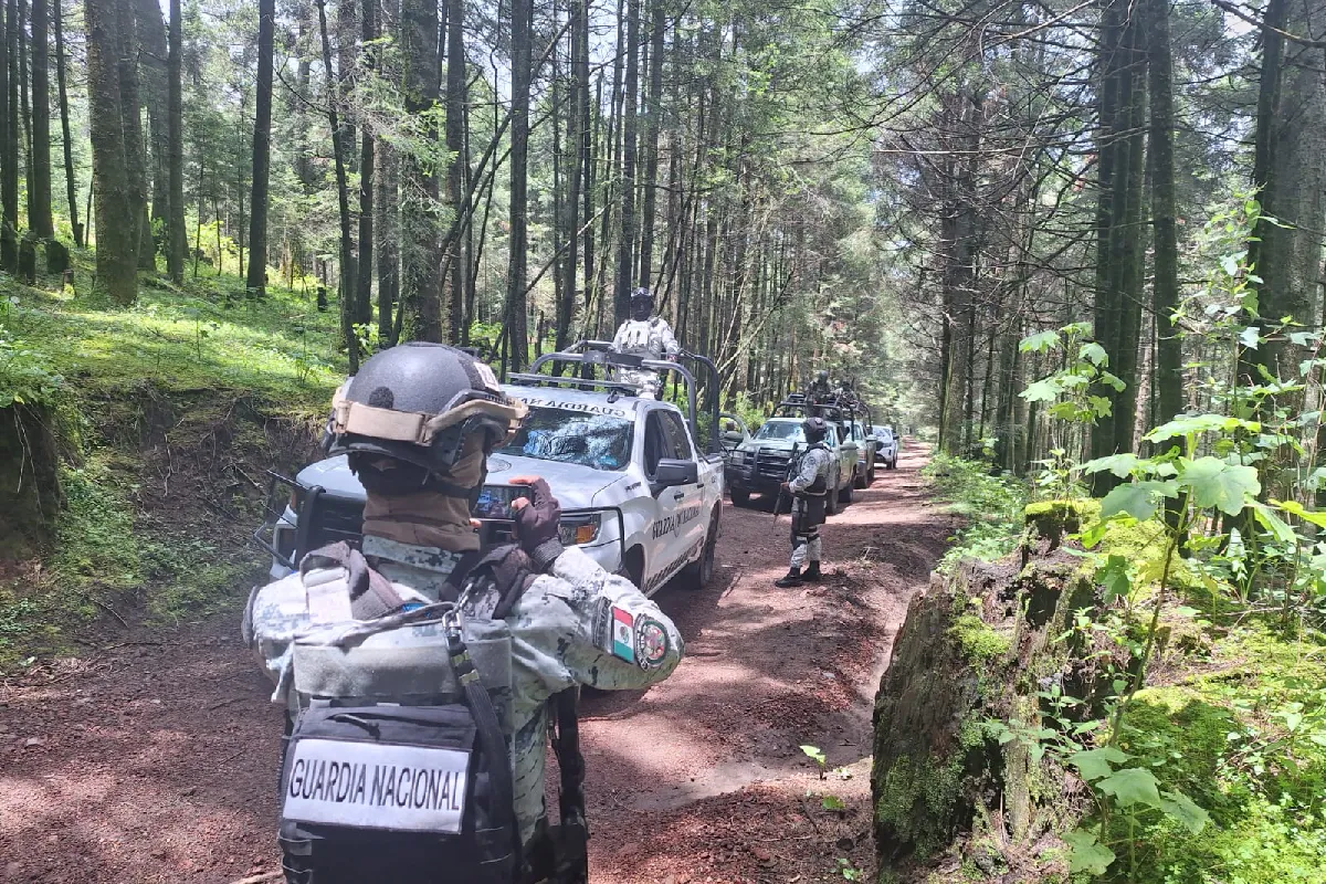 El bosque que da agua al Valle de México: Atlapulco entre balas, tala ilegal y una comunidad dividida