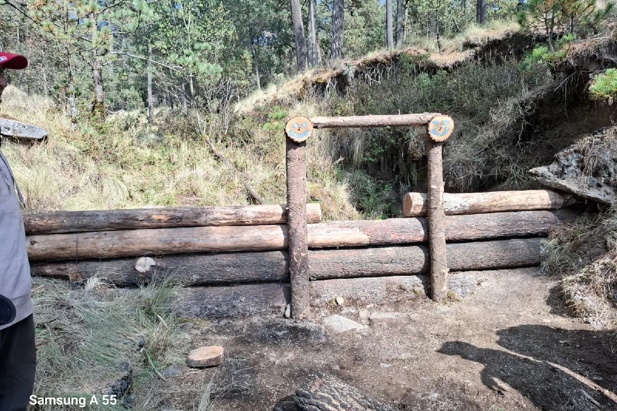 El bosque que da agua al Valle de México: Atlapulco entre balas, tala ilegal y una comunidad dividida