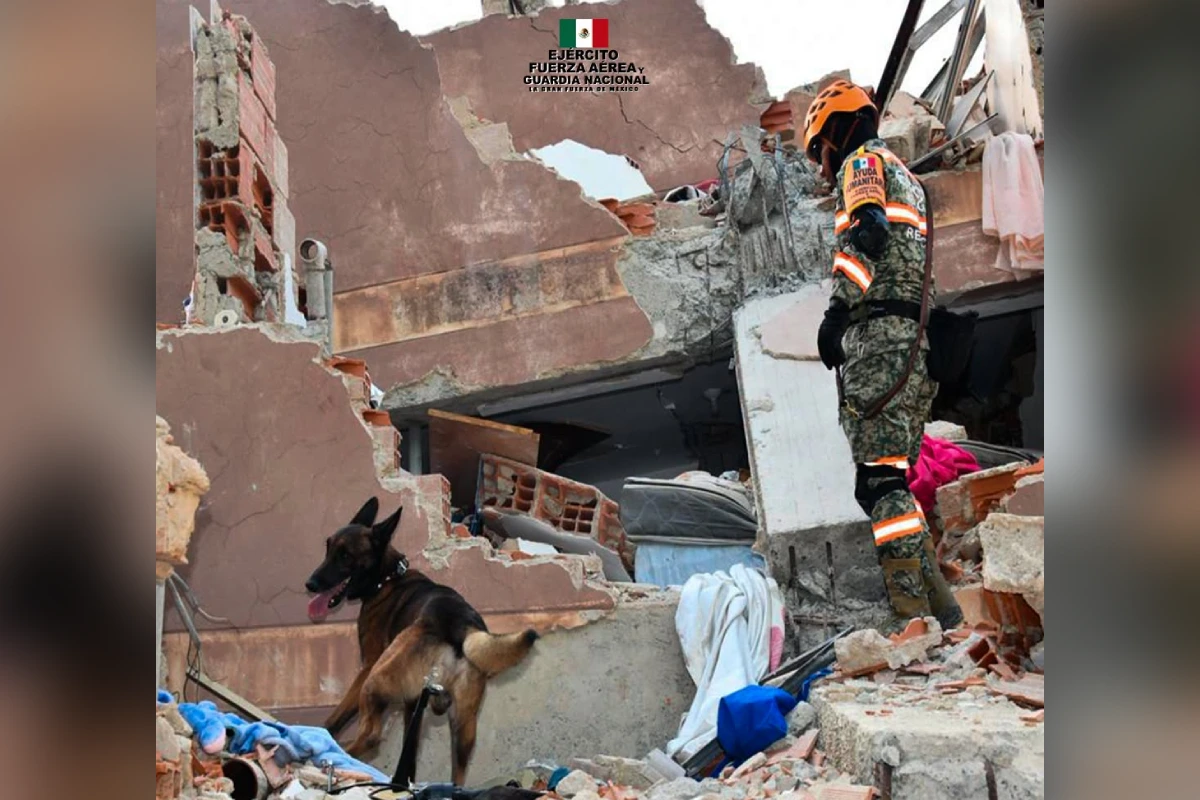 Integrante del Ejército Mexicano y un binomio canino realizan labores de búsqueda y rescate en una estructura colapsada por sismo en Venezuela. En la parte superior se observa el logotipo de la ayuda humanitaria del "Ejército, Fuerza Aérea y Guardia Nacional" de México.