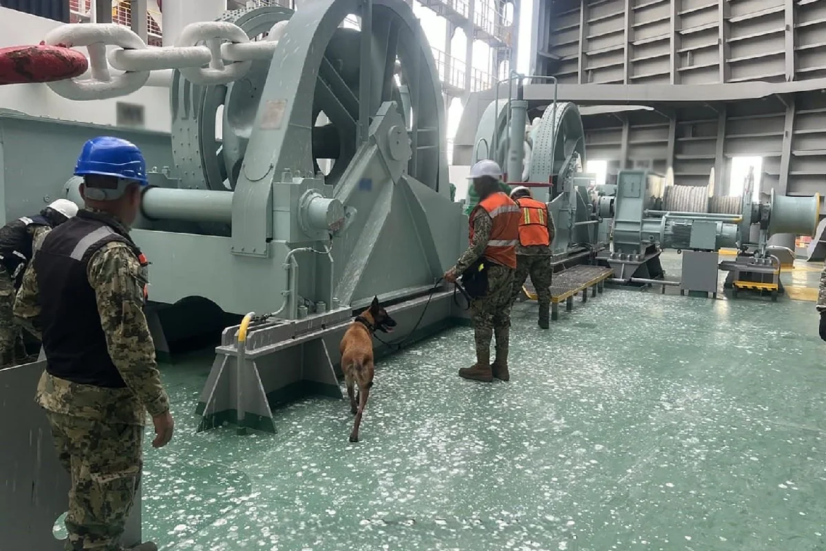Perrito revisando instalaciones de un barco 