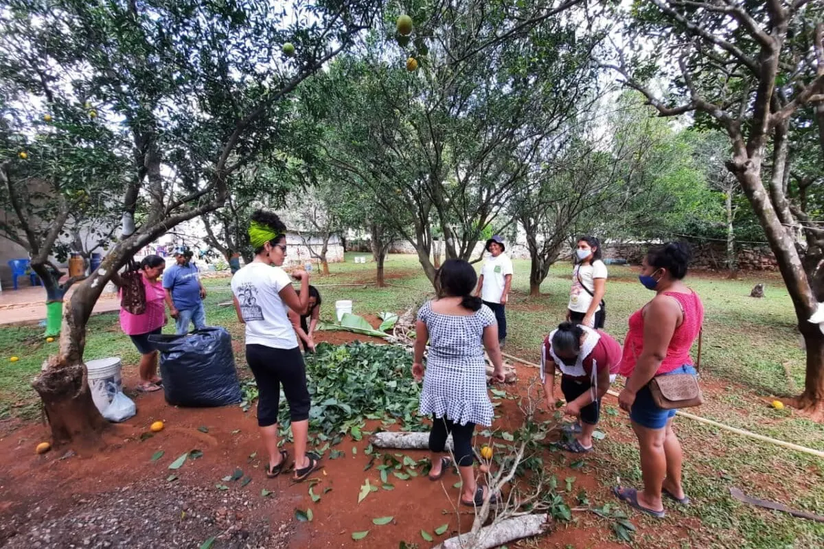 Rosa Marina Flores Cruz: la científica afrozapoteca que sigue el camino del viento en México