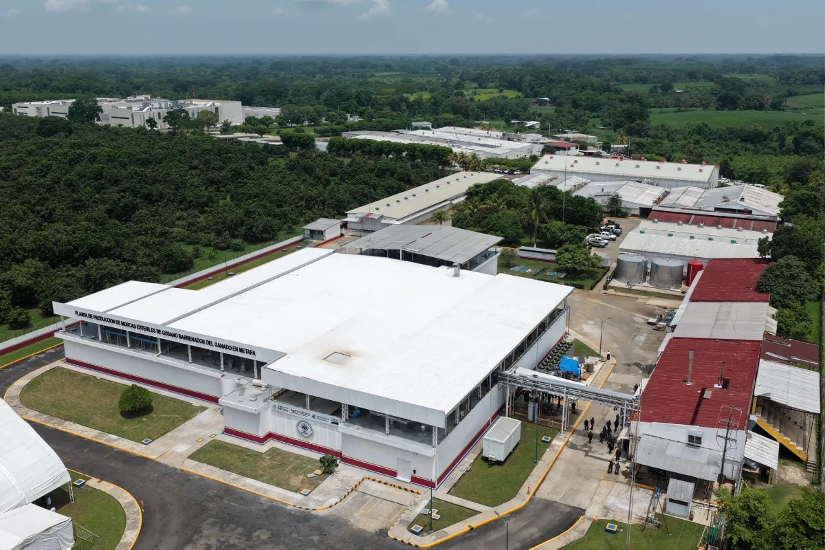 Sheinbaum y Brooke Rollins inauguran planta para combatir gusano barrenador; EU invertirá 83.8 mdd para operación