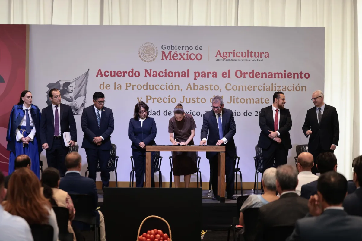 Acuerdo para bajar el precio del jitomate busca conectar a productores con compradores directos, explica Sheinbaum