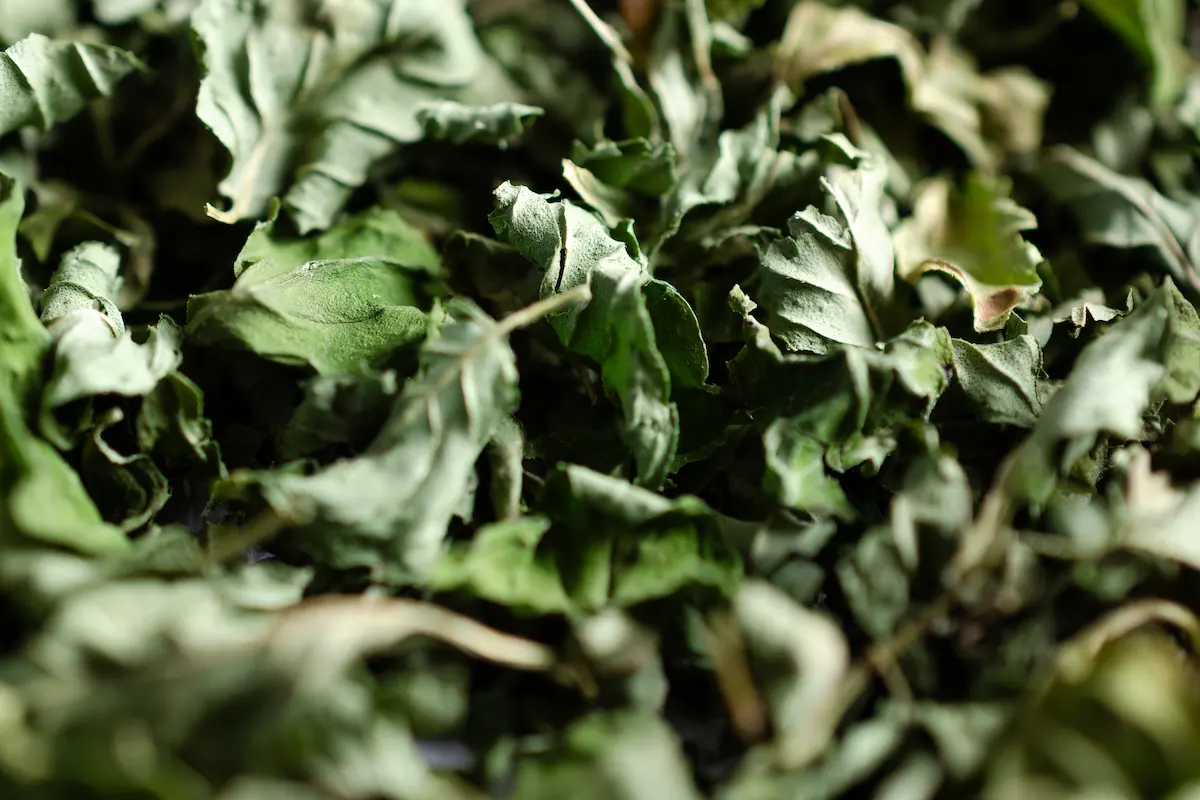hoja de hierbabuena
