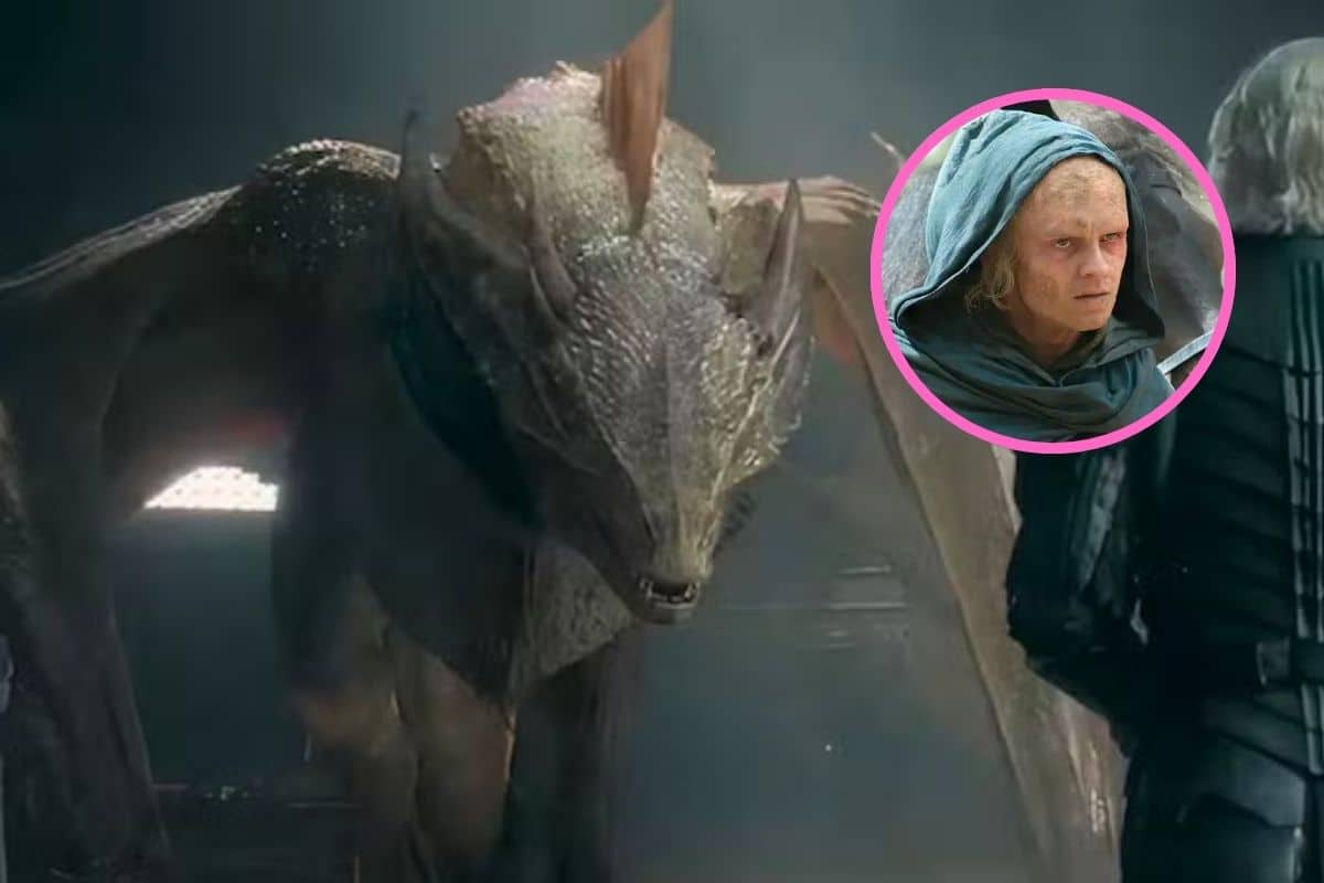 dragones house of the dragon sunfyre aegon