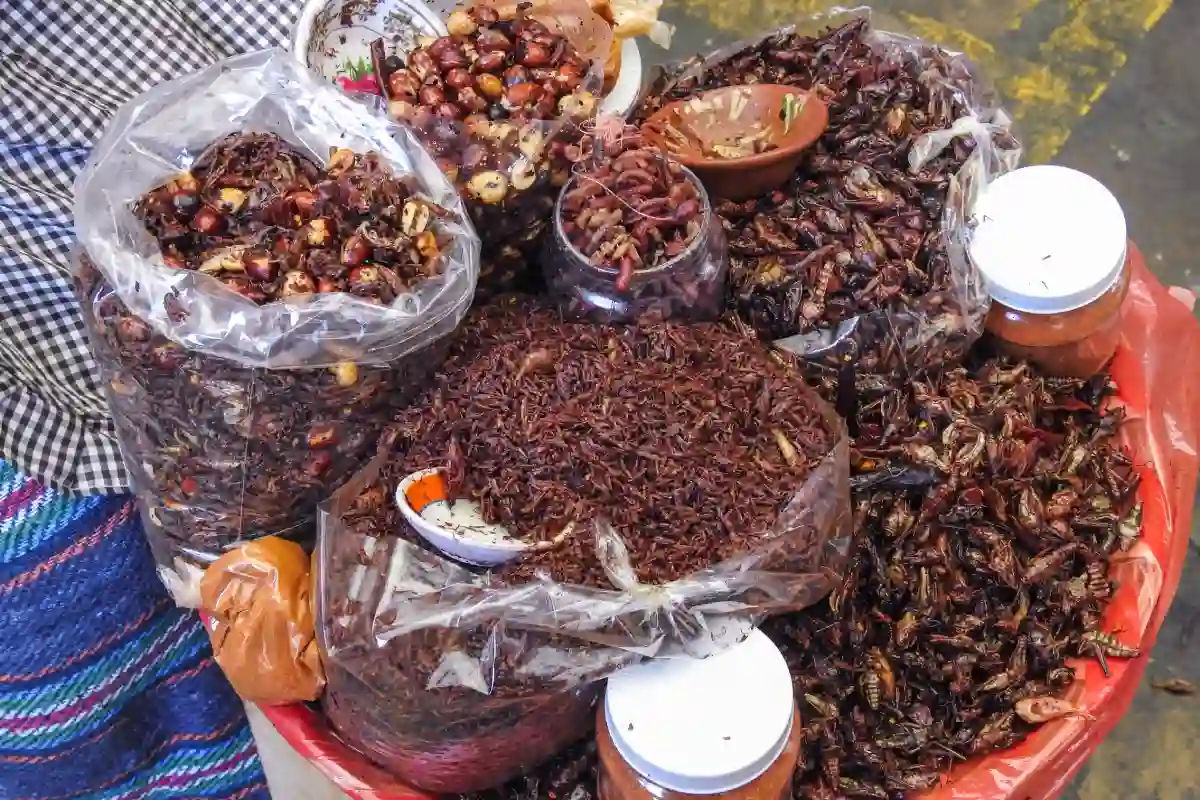 Carreta con bolsas de plástico llenas de insectos como chapulines