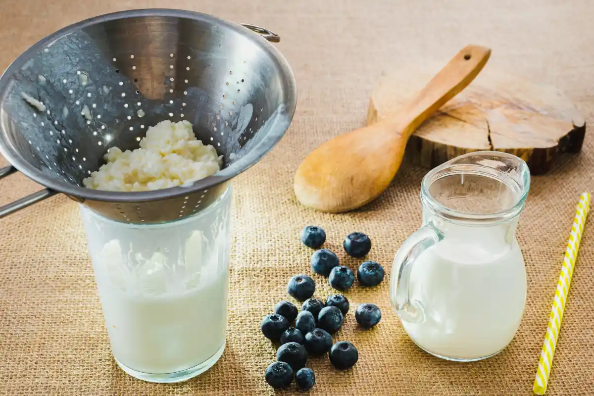 Coladera con kéfir de leche y arandanos