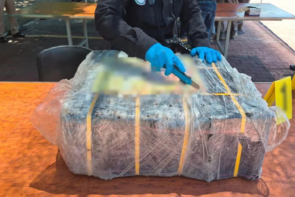 Aseguran 270 kilos de cocaína en Manzanillo, Colima, durante descarga de buque; hay dos detenidos