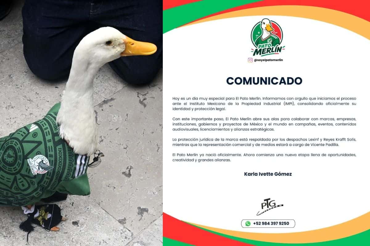 marca pato merlín impi