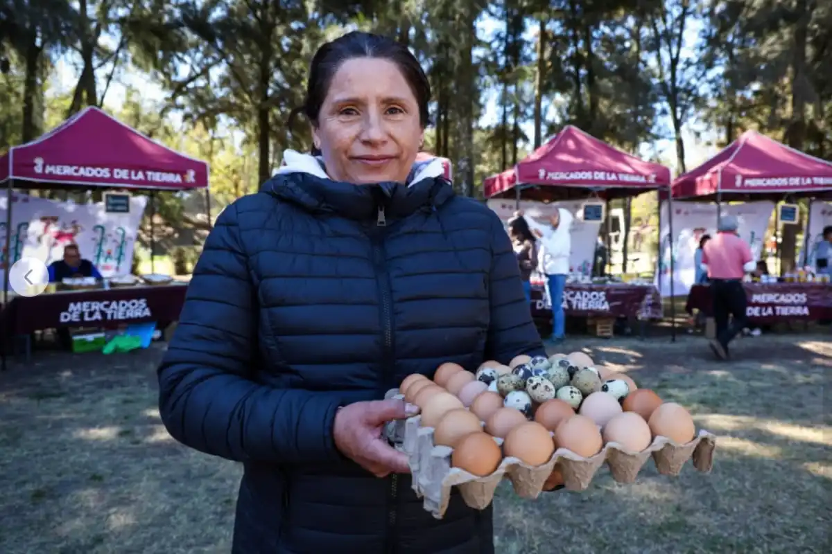Mujer sostiene varias docenas de huevo de gallina y codorniz