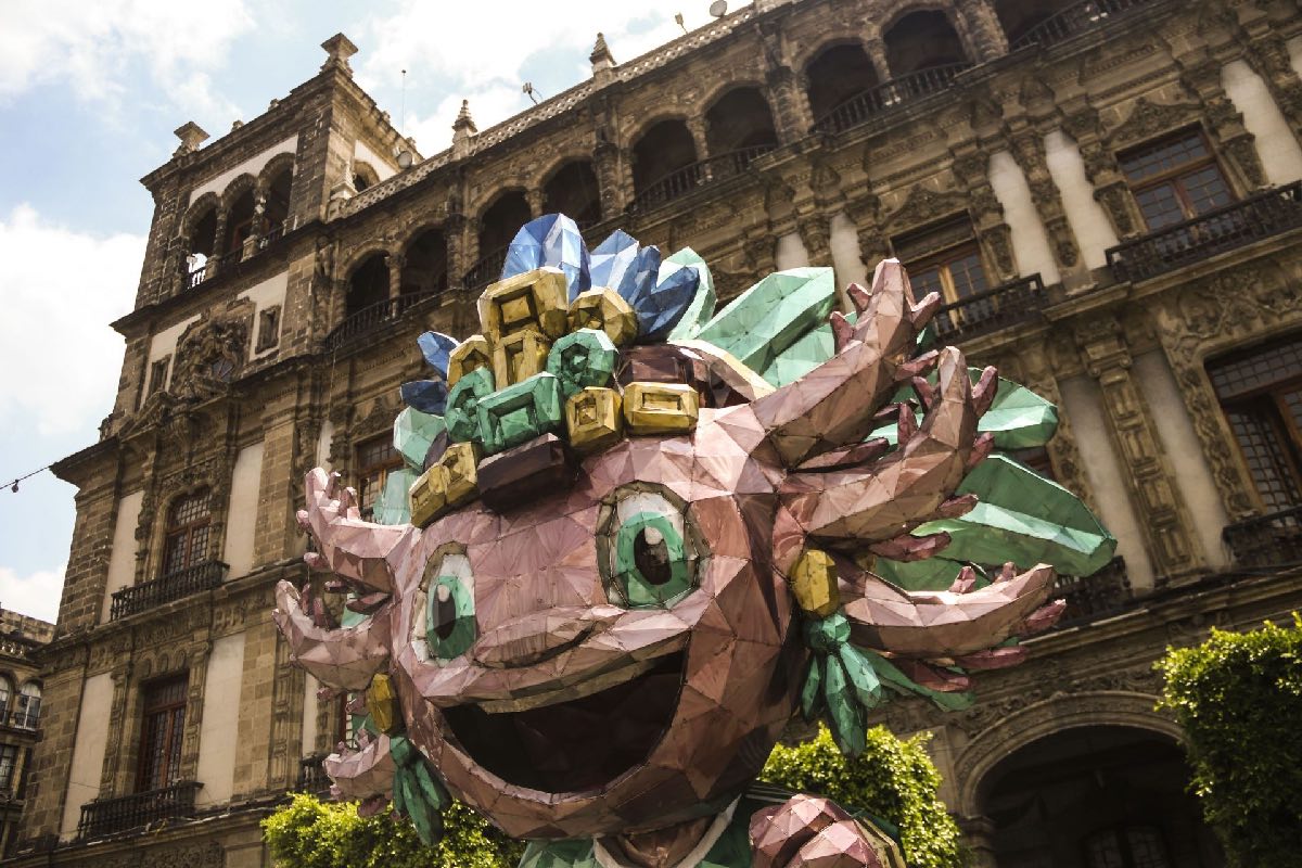 Los ajolotes están en toda la Ciudad de México