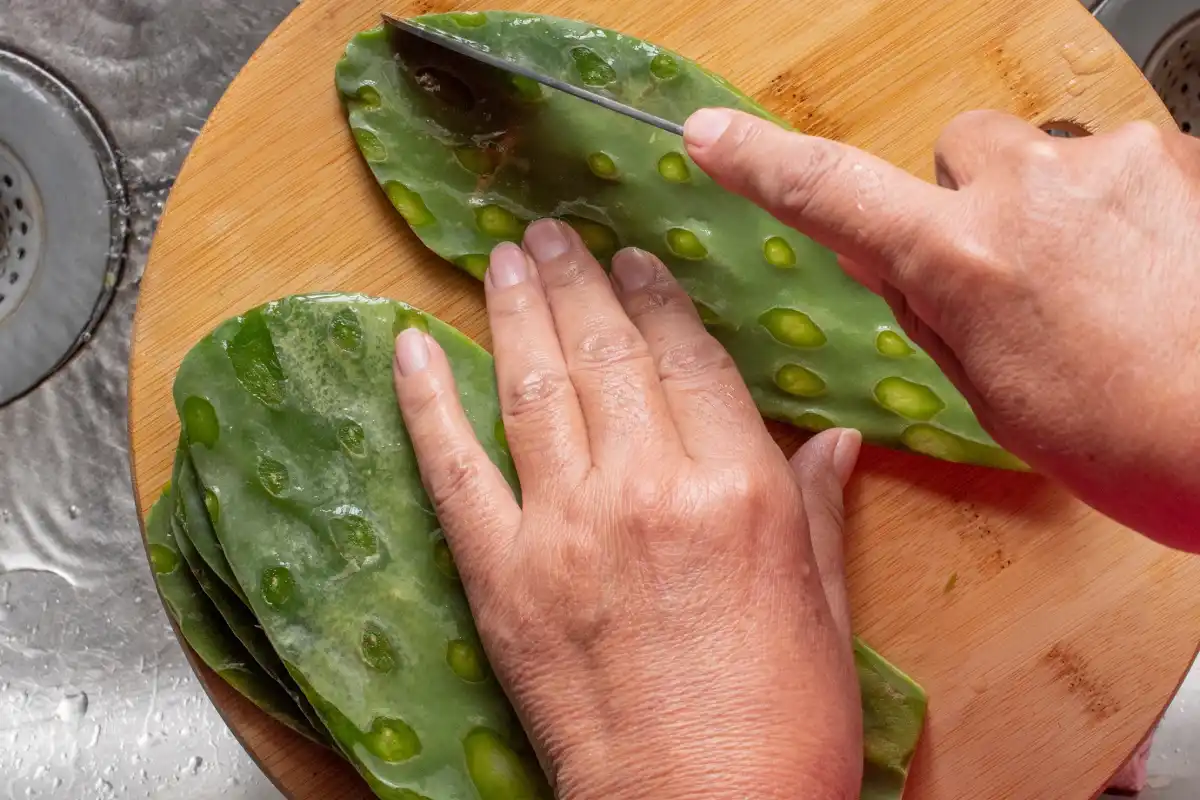 Manos de mujer picando dos pencas de nopal