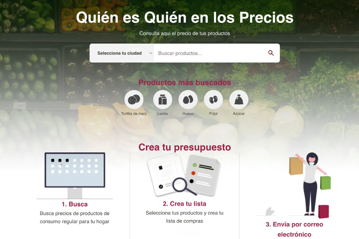 Página web con iconos y un buscador