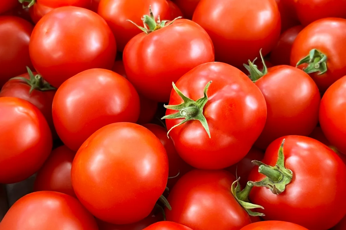 productos de canasta básica bajan precio 2026