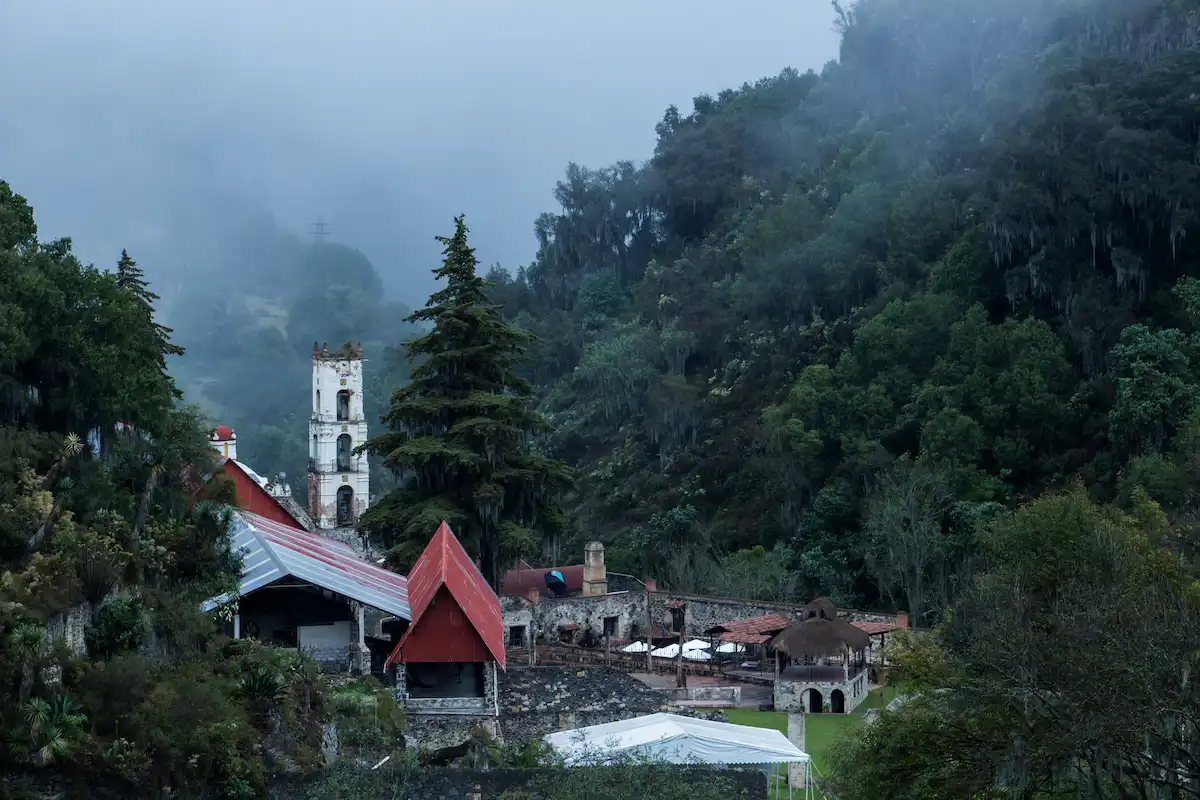 bosque de Huasca de Ocampo