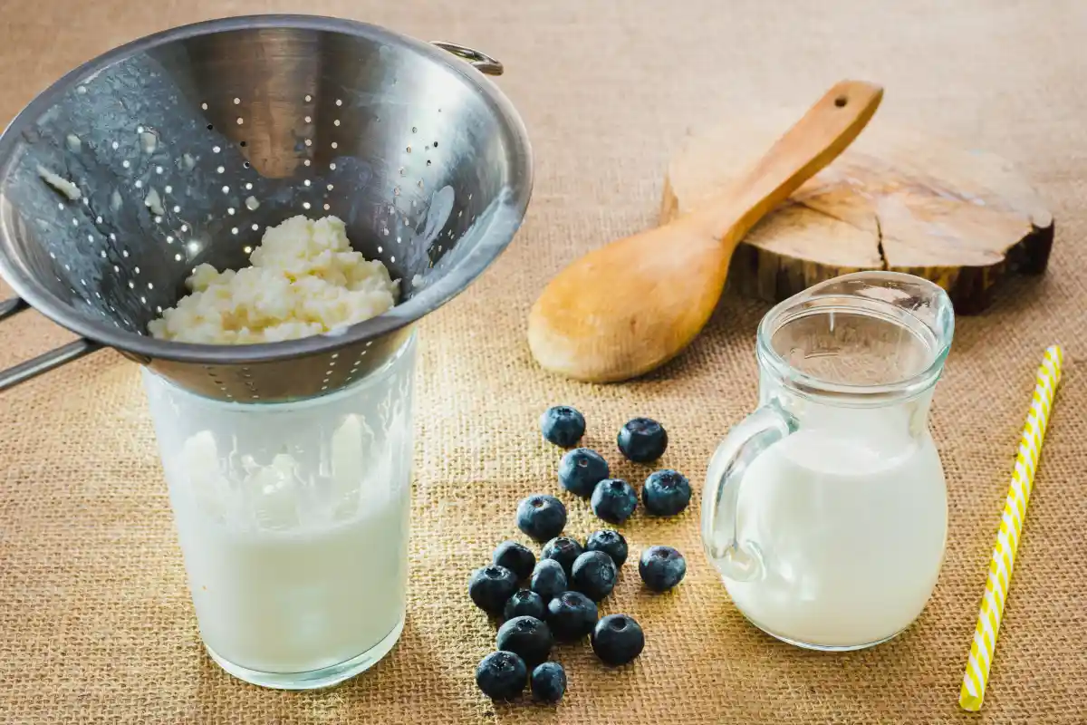 Preparación de kéfir con blueberrys
