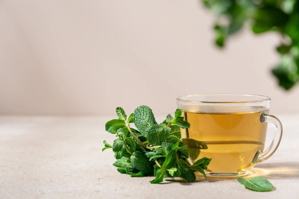 té de hierbabuena en taza