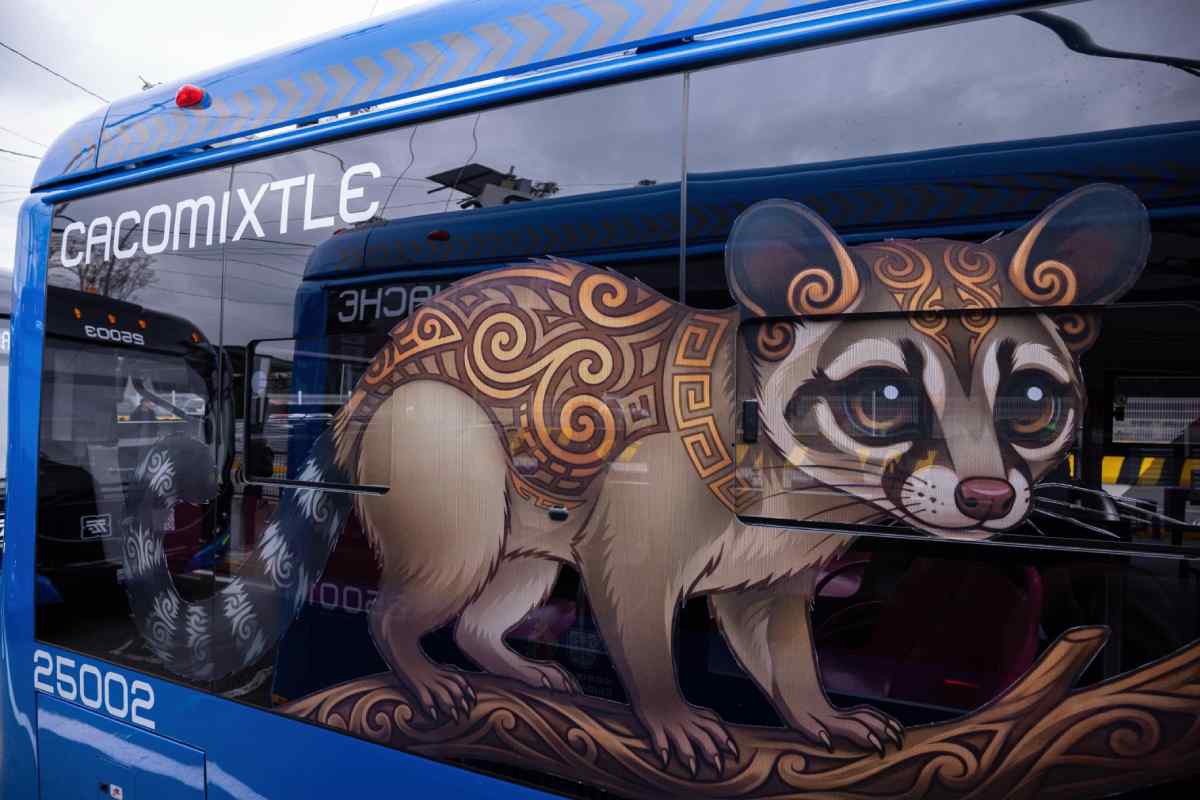 trolebus-nuevas-rutas-chapultepec-universidad-5