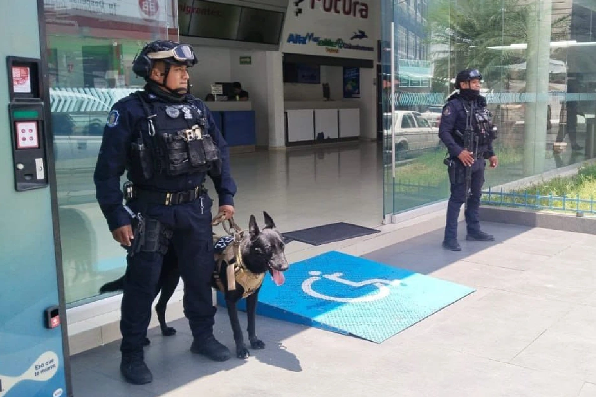 Así vigilan los binomios caninos las terminales de autobuses en Guerrero