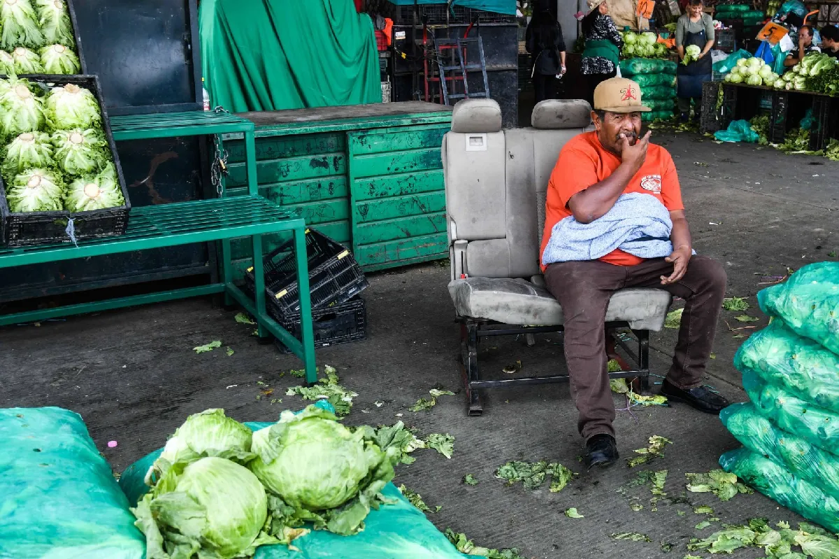 Brote de diarrea: salud descarta Cyclospora en lechugas de México tras análisis