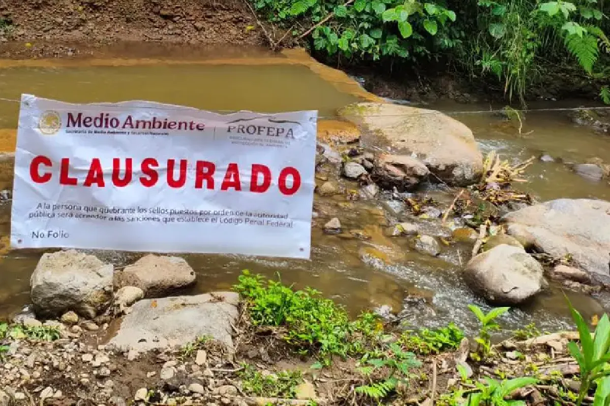 Clausuran presa sin permisos en arroyo Temimil en Xico, Veracruz