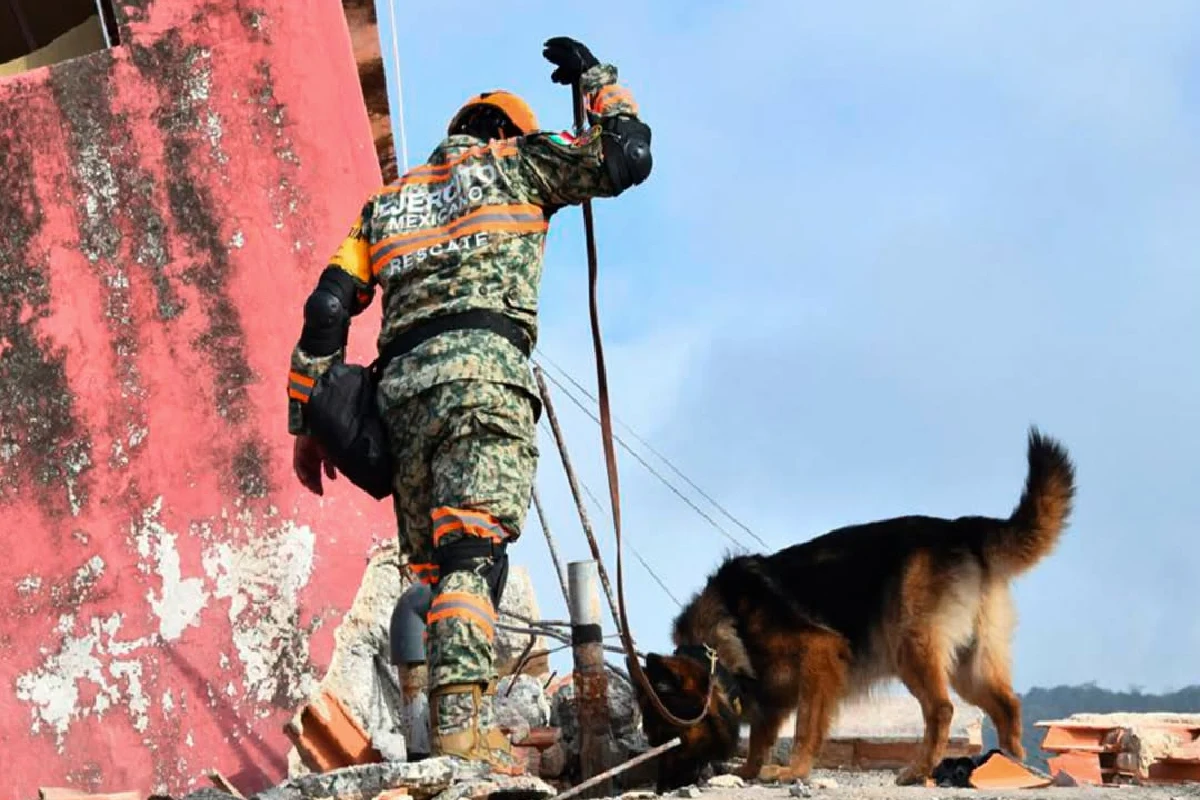Un elemento de rescate del Ejército Mexicano junto a un perro rescatista (binomio canino) buscando sobrevivientes entre los escombros de una estructura en Venezuela