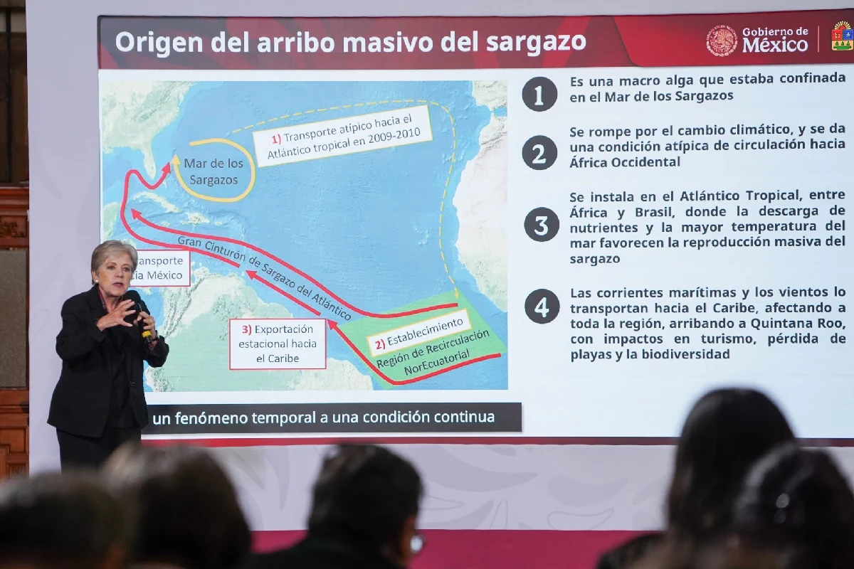 Alicia Bárcena exponiendo una diapositiva del Gobierno de México titulada "Origen del arribo masivo del sargazo", con un mapa de las corrientes del Atlántico y cuatro puntos explicativos.