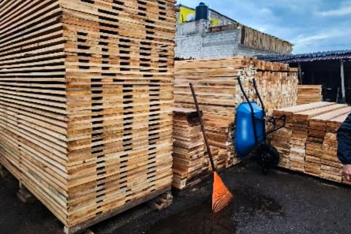 Hallan cinco cuerpos en Madera, Chihuahua; cuatro trabajaban en un aserradero