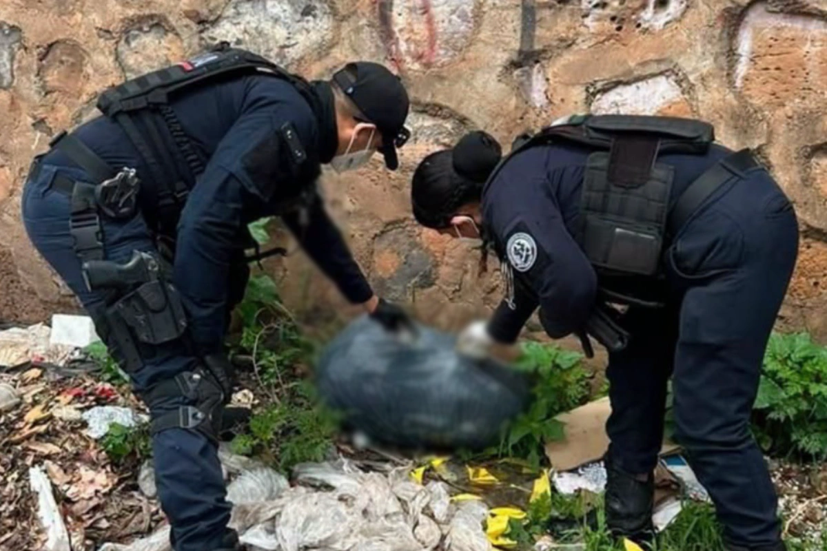 Localizan 25 mascotas muertas en brecha de El Salto, Jalisco