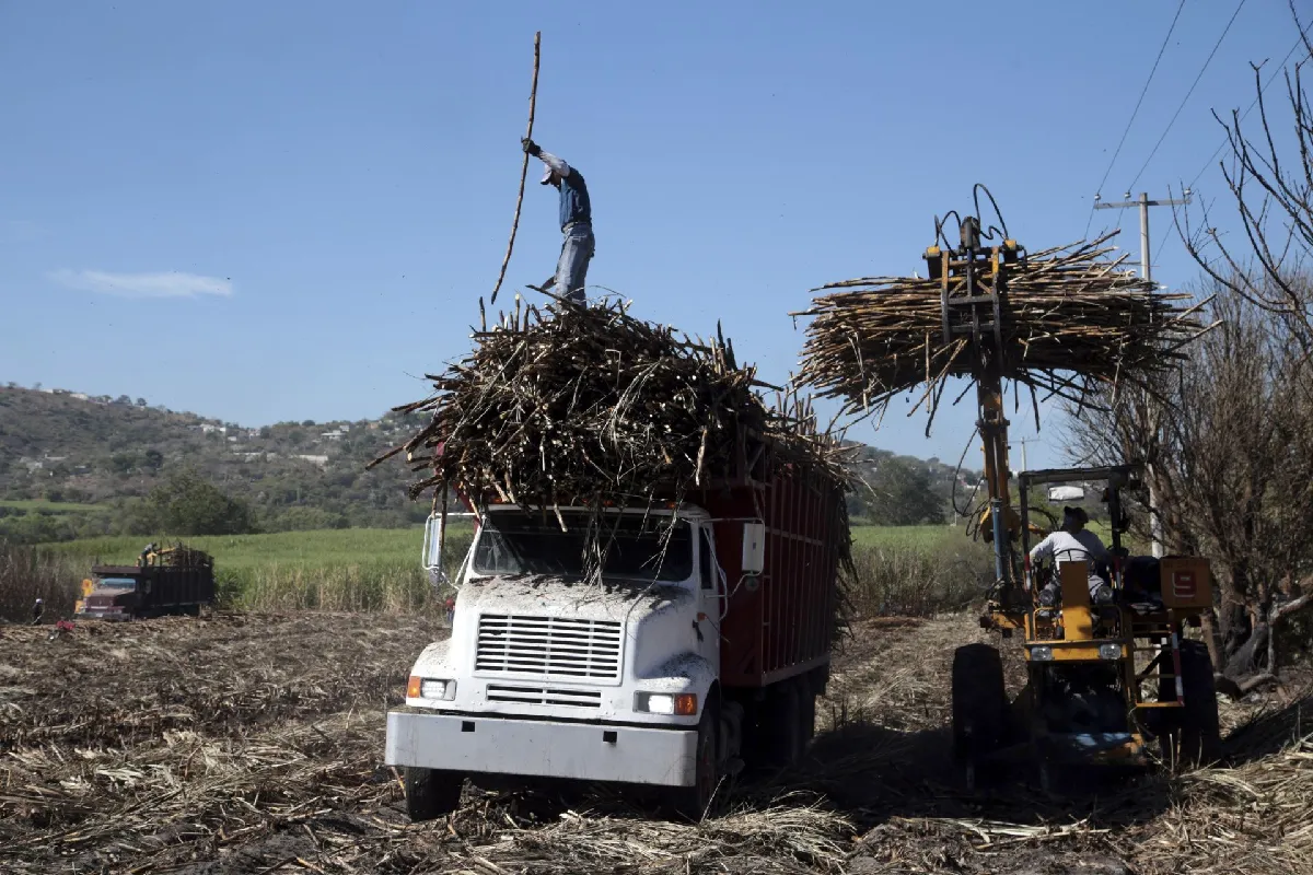 México exportación azúcar a EU