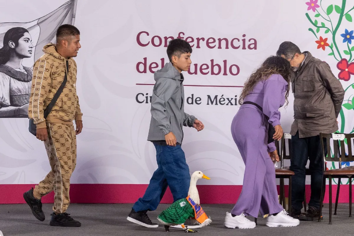 Proponen en CDMX la “Ley Merlín” tras caso de pato mundialista; esto contempla la iniciativa para proteger a mascotas