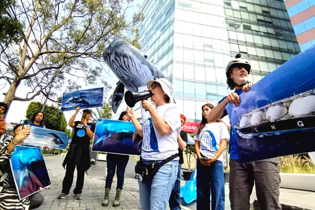 Entregan 90 mil firmas a JPMorgan y Santander para frenar proyecto Saguaro Energía