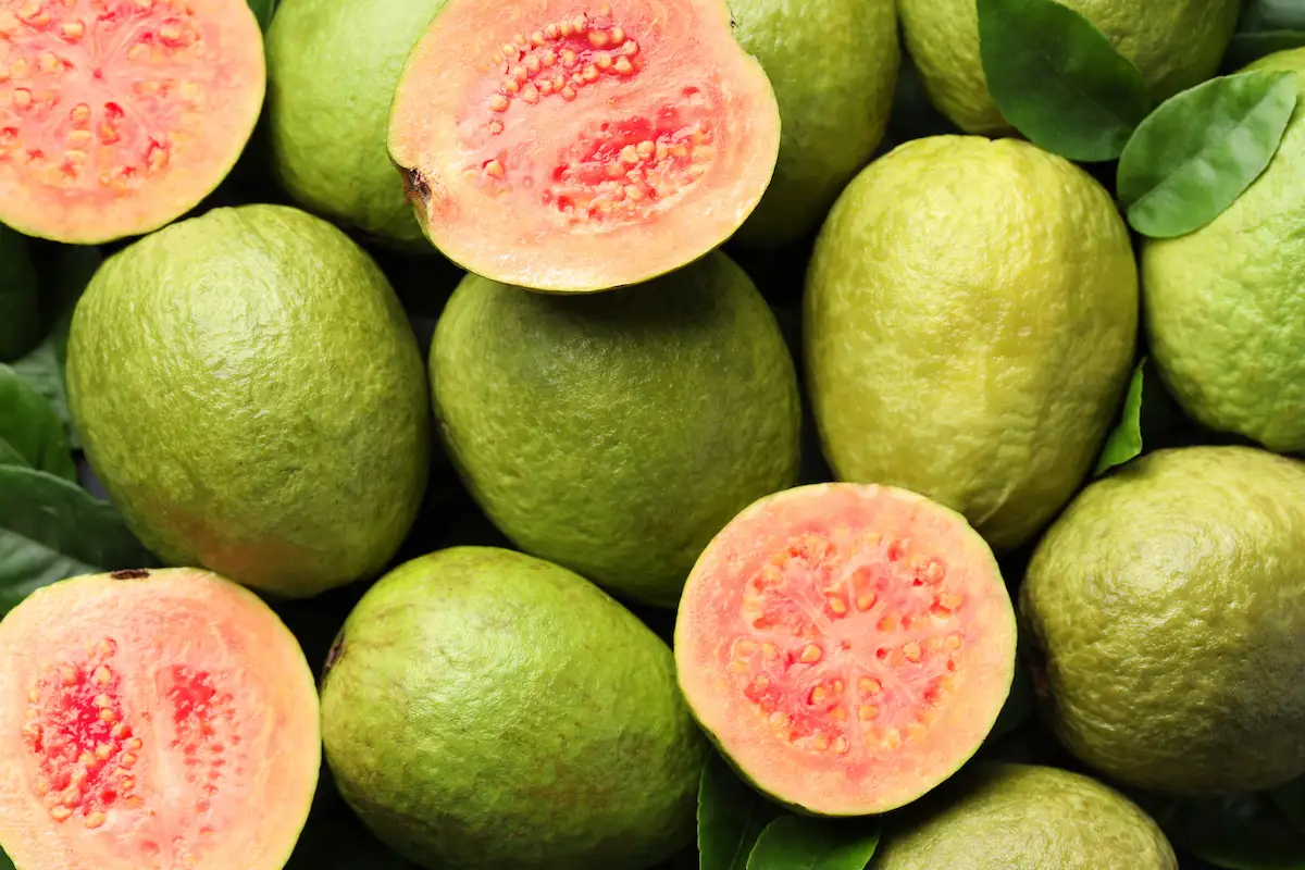 beneficios para la salud de la guayaba 