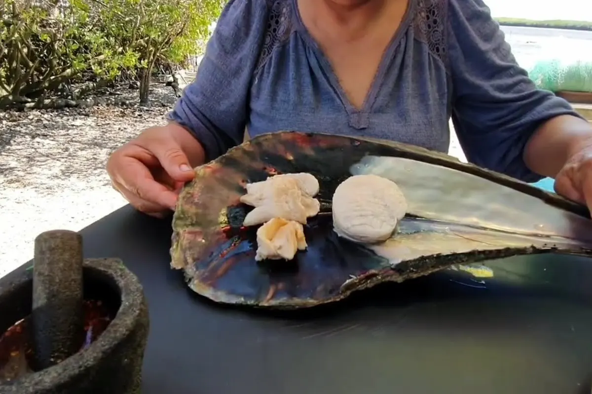 por qué se llama callo de hacha