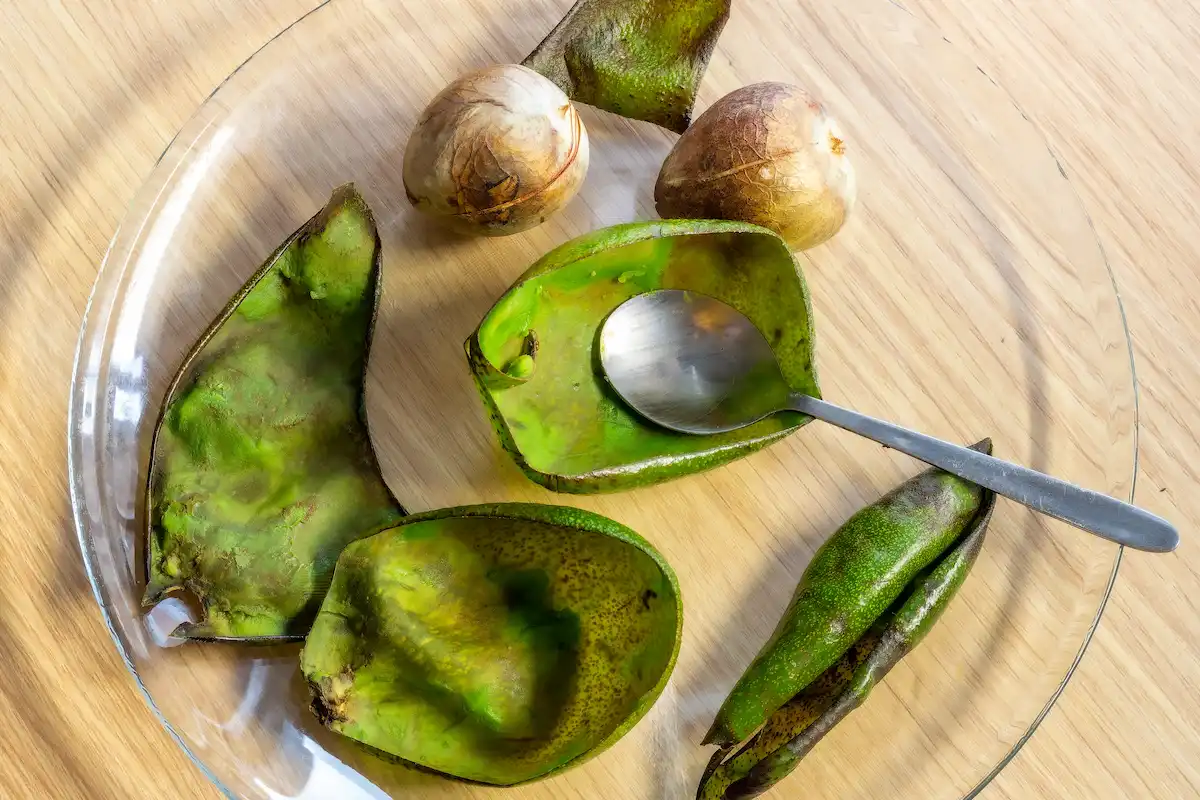 cáscara de aguacate con cuchara
