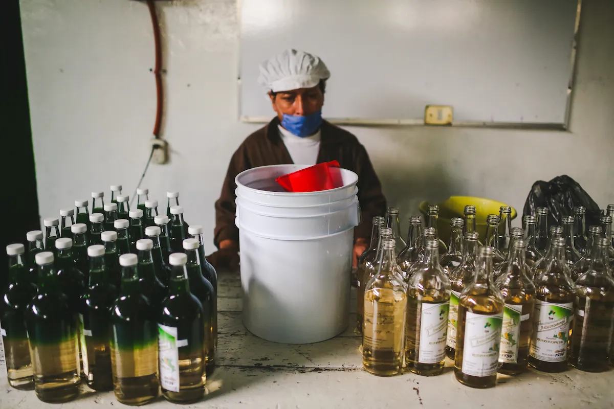 dónde comprar sidra de Zacatlán