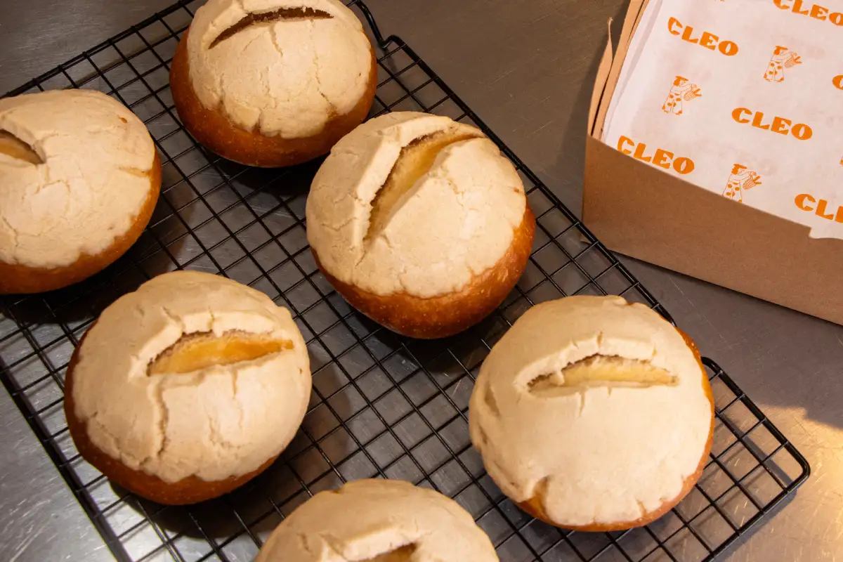 Conchas de vainilla sobre una rejilla