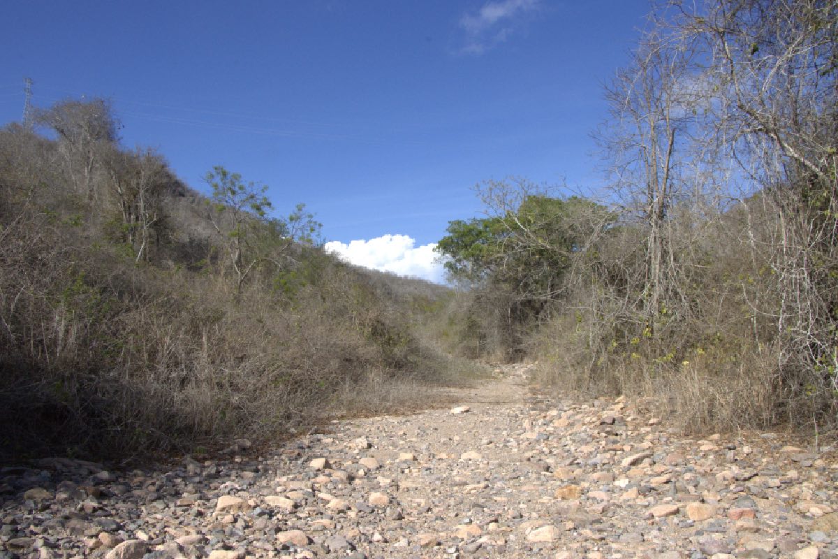 Los arroyos de la zona, dos años sin agua